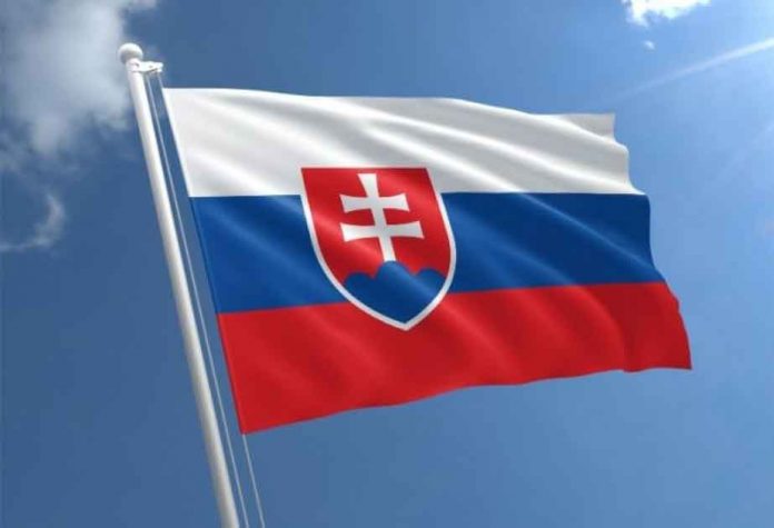 slovakia-flag-baydak