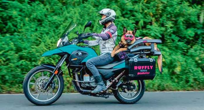 travel-world-with-dog