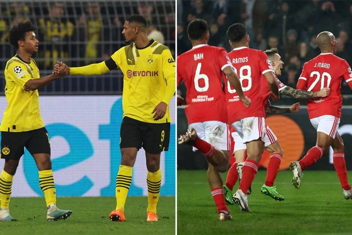 borussia benfika