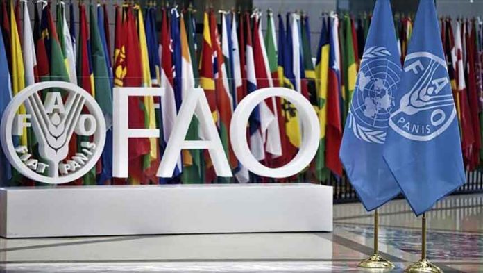 fao-un