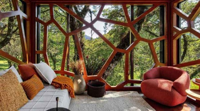 monte-verde-brasili-forest-ecotourism