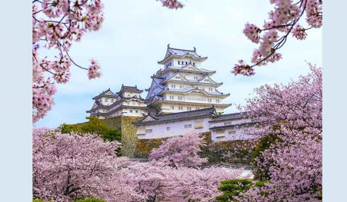 sakura-bloomed-osaka-castle-park