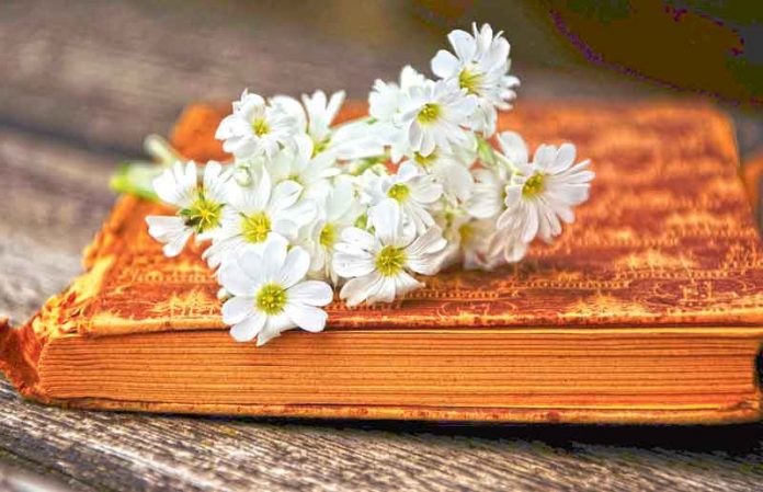 flower-on-tha-book-a-book-gbde59f5b9_1920