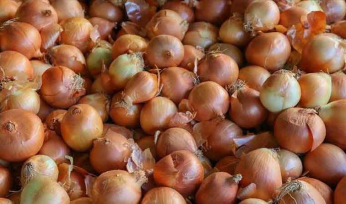 sogan-onion-kapak_104024