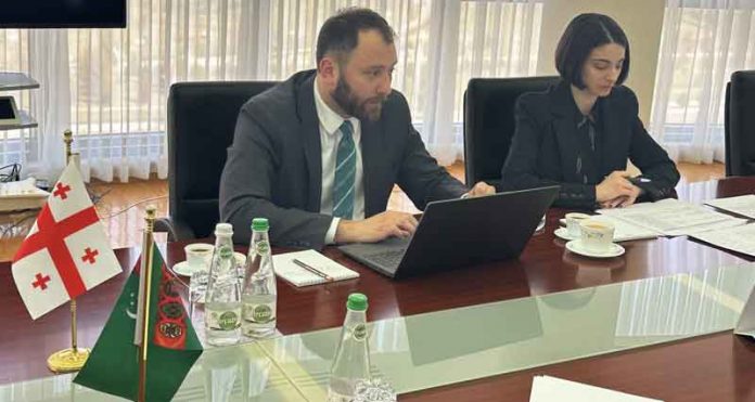 turkmen-gruzin-mfa-dim