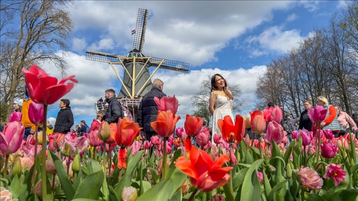 Kyokenhof-tulip-fest-holland