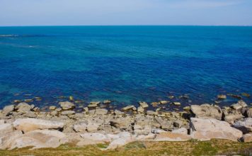 В Казахстане решили создать НИИ Каспийского моря