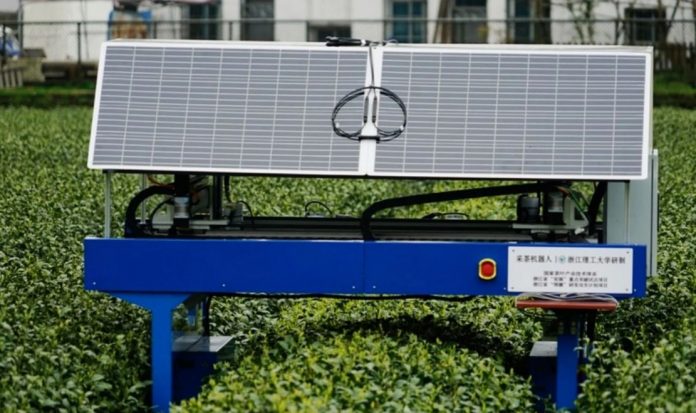 tea collecting robot farm