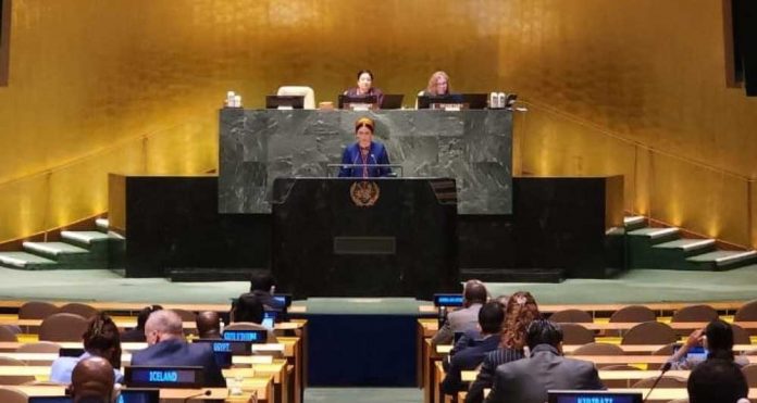 turkmen-delegation-on-un-ga