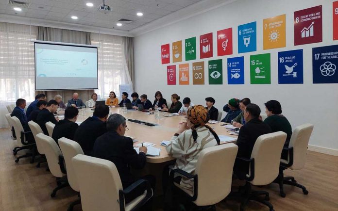 undp-проон-(1)