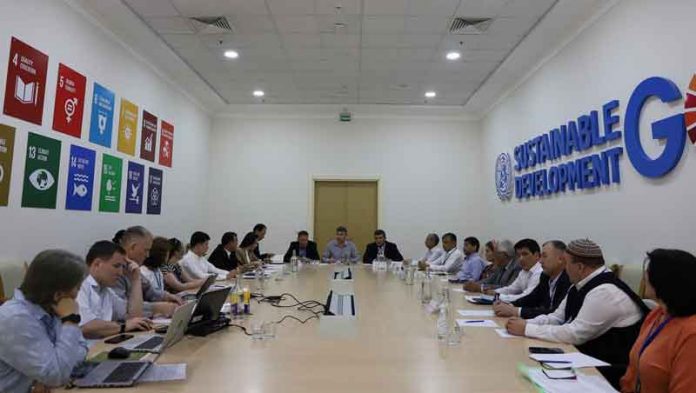 проон-undp
