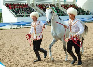 В Туркменистане проведут международный конкурс красоты ахалтекинских коней