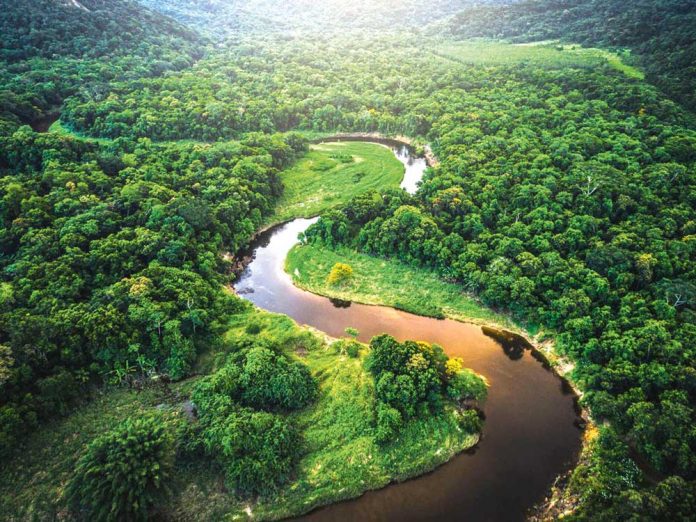 amazon-river-derya-nehir-amazonka-america-longest-river-world