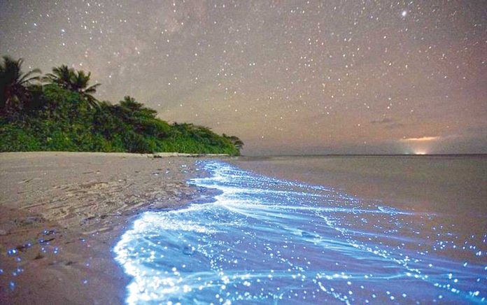 Vaadhoo-Island-Maldives