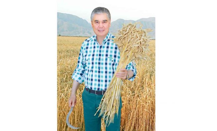 galla-oragy-halk-maslahatynyn-baslygy-15-06-002-profile