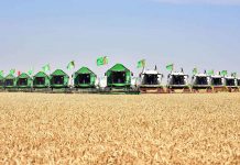 Türkmenistan – gallaly ýurt