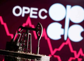 ОПЕК+ договорились о сокращении добычи нефти в 2024 году