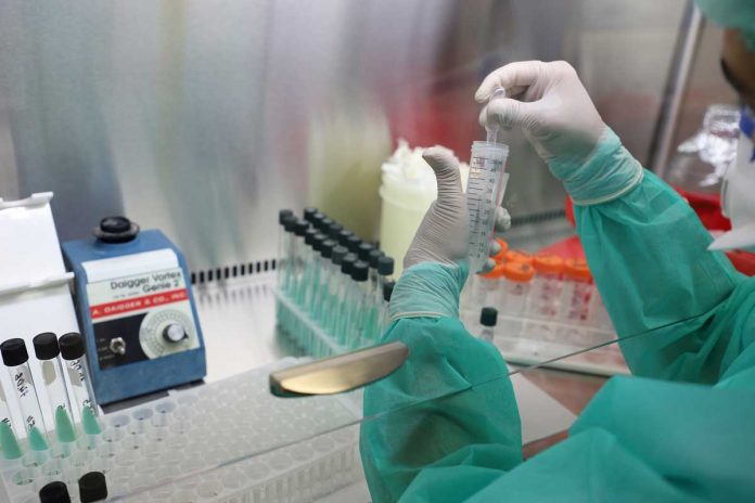 undp-проон-laboratory