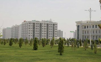 В Туркменистане прошла всенародная акция по высадке деревьев