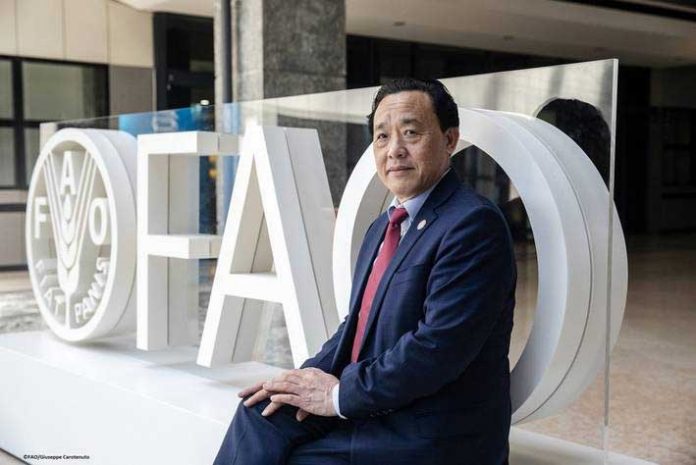 fao-president