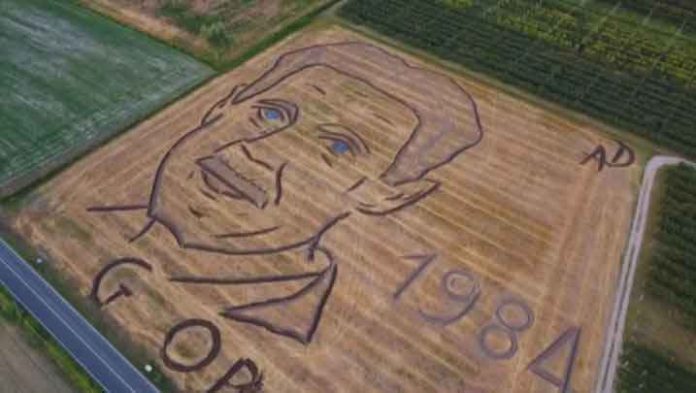 george-Orwell-1984-nivelist-english