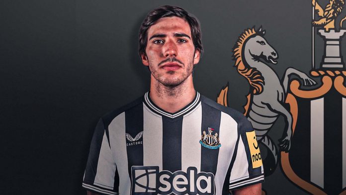 sandro tonali copy