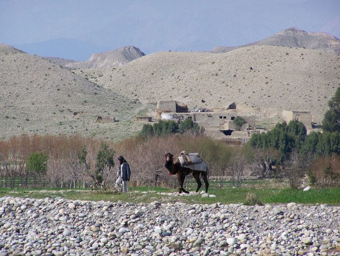 Kabul_river_farm