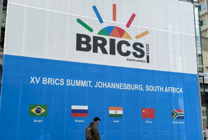 brics-south-africa-summit-unnamed