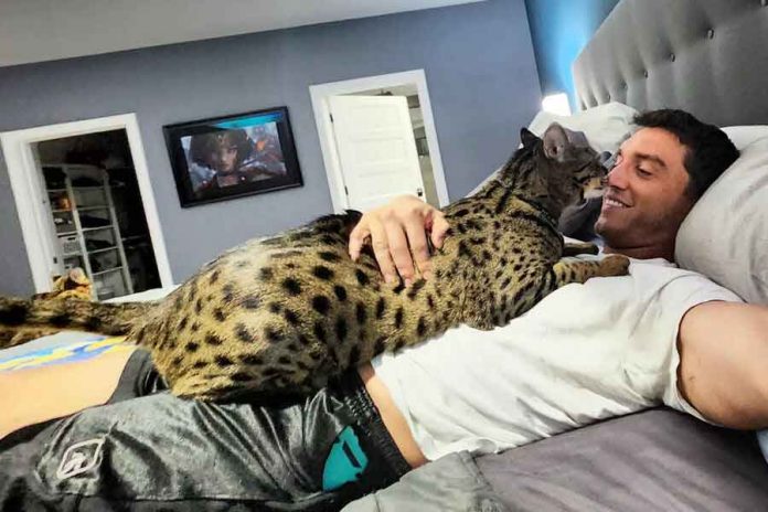 cat-pishik