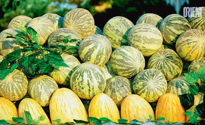 turkmen-gawun-gurbek-waharman-melon