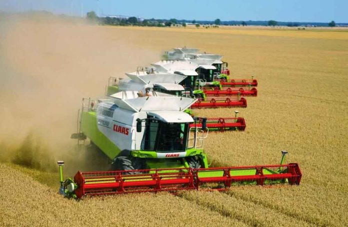 claas-kombayn-wheat-bugday-hasyl-rus-orsye