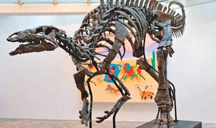 france-dinosaur-dynosaur-dinozawt-kapak_134540