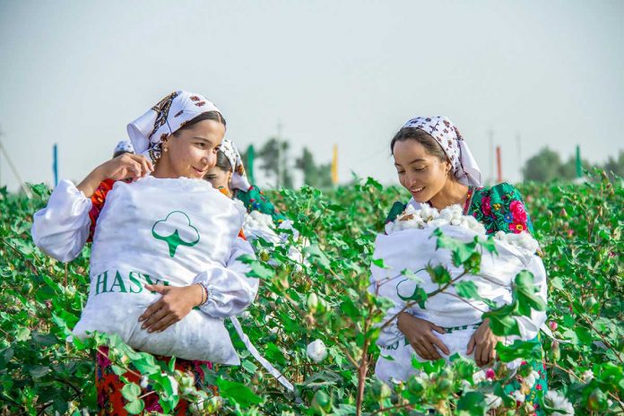 pagtacy-gyzlar-pagta-meydany-cotton-filed-turkmen-090923-18-hlopok