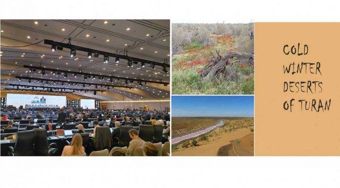 turan-sowuk-colleri-deserts-of-turkmenistan-uzbekistan-kazakhstan-dashoguz
