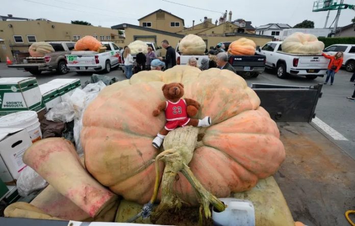 PUMPKIN WORLD RECORD BY MASS USA 1247 KG