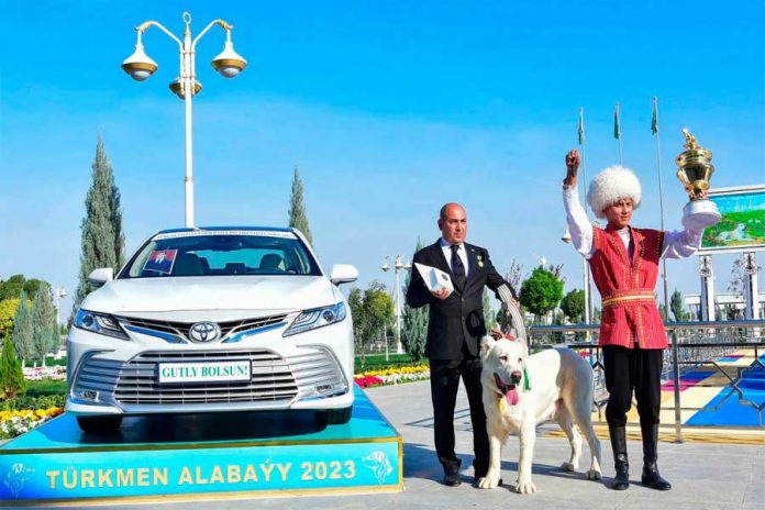 akhan-yylyn-turkmen-edermen-alabayy-adyna-mynasyp--alabay-2023