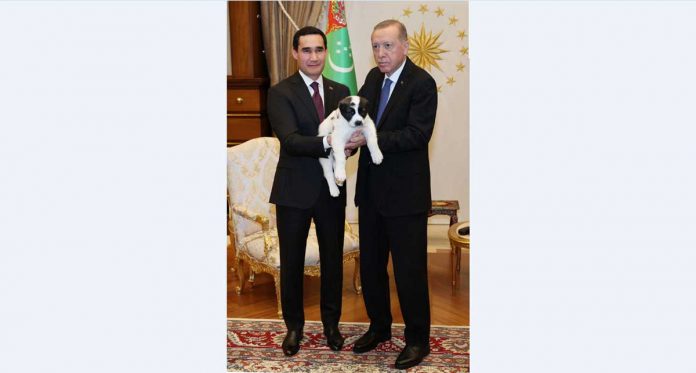 alabay-kangal-turkmen-turk-turkish-presidents-1