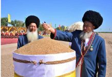 Daşoguz welaýatynda güýzlük bugdaý ekişine girişildi