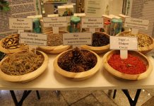 «Saglygy goraýyş, bilim we sport Berkarar döwletiň täze eýýamynyň Galkynyşy döwründe» atly halkara sergi geçiriler