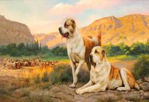 Döredijilik eserleriniň sergisi geçiriler