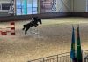 В Астане прошли соревнования по конкуру