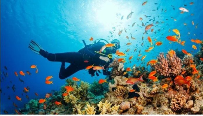 underwater sea deniz