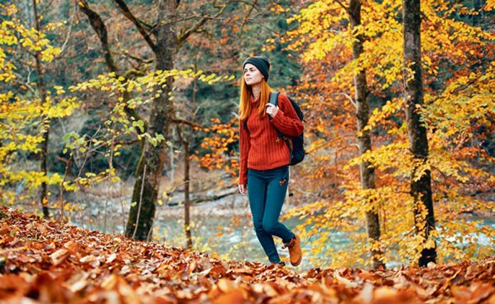 walking-in-fall-autumn-yoremek-yurumek-pyyada