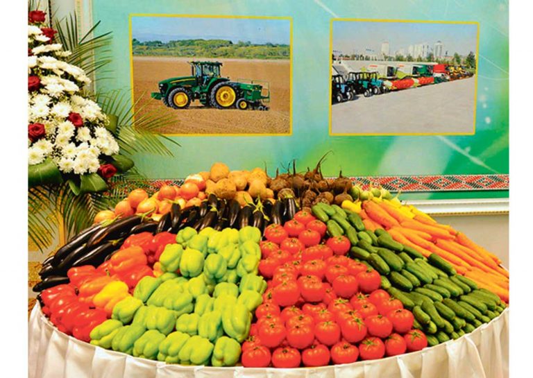 В Туркменистане зафиксирован рост экспорта сельхозпродукции