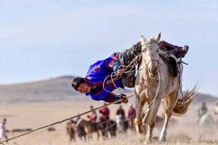 mongolia-mongol-horse-at-atly