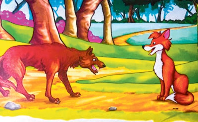 tilki-we-mojek-fox-and-the-wolf