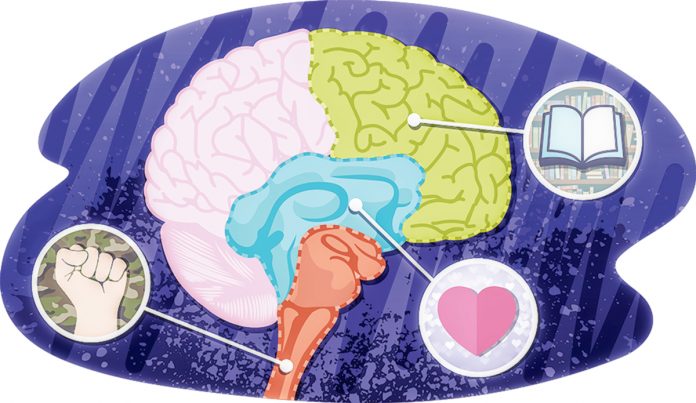 brain-beyni-beyin-mozg