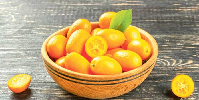 kamkat-citrus-fruit