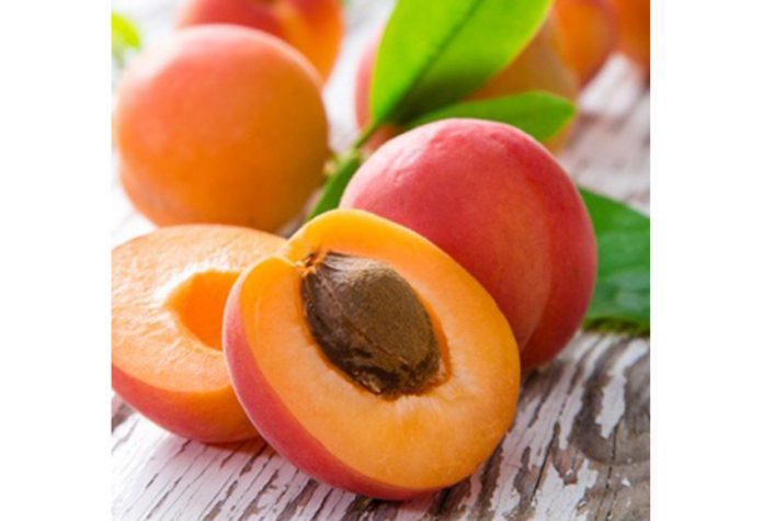 panthone-institut-color-of-the-year-Apricot_Stock_1024x1024