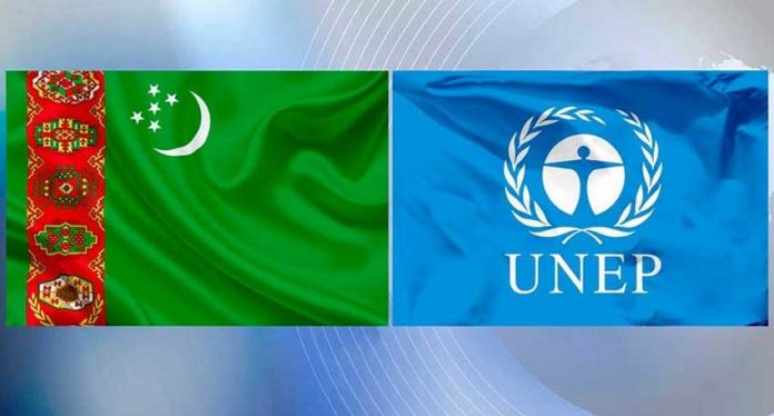 turkmen-unep-flag-baydak